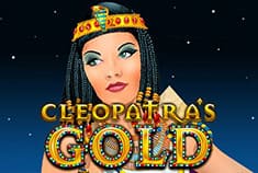 Tournaverse game-thumb